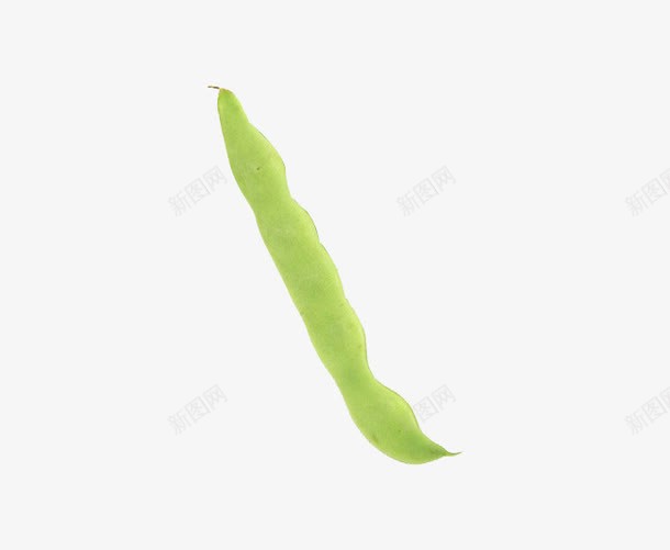 健康食品绿色菜豆png免抠素材_新图网 https://ixintu.com 二季豆 四季豆 直立草本 芸豆