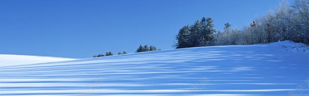雪景背景图jpg设计背景_新图网 https://ixintu.com 冷色调 树木 雪地