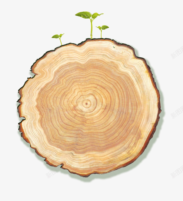 植树节环保装饰插图树桩切面png免抠素材_新图网 https://ixintu.com 切面 树桩 植树节 环保 环保插图 绿色装饰