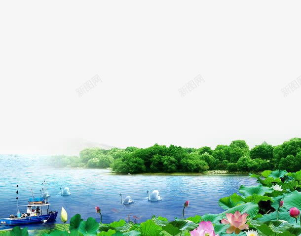 池塘里的荷花png免抠素材_新图网 https://ixintu.com 树林 池塘 河水 白色 荷花荷叶满池塘 粉色 绿色 美丽的荷花实景 船只 荷叶 荷花 蓝色