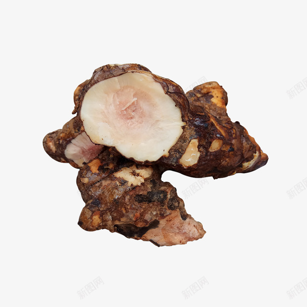 野生茯苓实物图png免抠素材_新图网 https://ixintu.com 土茯苓 茯苓加工 茯苓块 茯苓茶 茯苓设计 茯苓饮食 药膳
