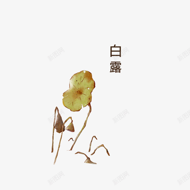 白露节气水墨手绘荷叶png免抠素材_新图网 https://ixintu.com 传统节日 枯萎的荷叶 残荷图片 水墨手绘图 白露节气