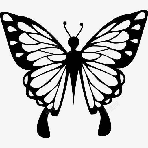 蝴蝶翅膀上有精美的观点图标png_新图网 https://ixintu.com 动物 昆虫 精致的 蝴蝶 设计上看
