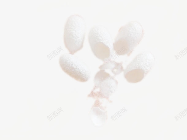 实物蚕丝球展示png免抠素材_新图网 https://ixintu.com 白色蚕丝 胶原蛋白 蚕丝 蚕丝球 蚕茧