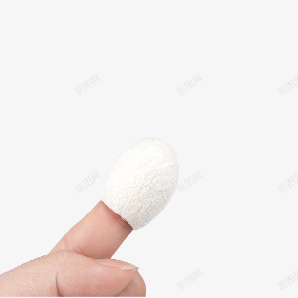 实物蚕茧蚕丝球png免抠素材_新图网 https://ixintu.com 天然蚕丝 桑蚕丝 桑蚕文化 白色蚕丝 美容护肤 胶原蛋白 蚕丝 蚕丝球