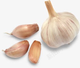 大蒜杀菌蔬菜佐料配菜png免抠素材_新图网 https://ixintu.com 佐料 大蒜 杀菌 蔬菜