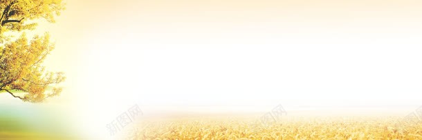 希望的田园banner背景图jpg设计背景_新图网 https://ixintu.com 希望 秋天 美景 背景