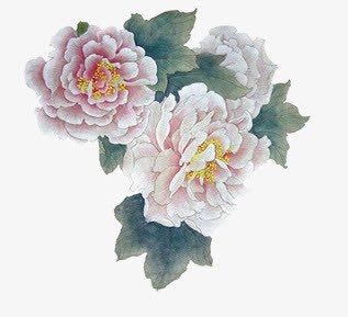 工笔芙蓉花png免抠素材_新图网 https://ixintu.com 工笔画芙蓉花芙蓉成都市花 木芙蓉