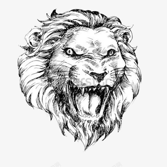 手绘狮子头png免抠素材_新图网 https://ixintu.com 体格雄健 凛凛 威风 强者 狮威胜虎 狮子头矢量图 睿智