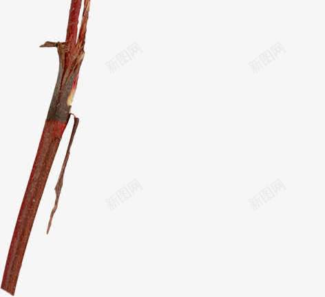 高粱穗实物png免抠素材_新图网 https://ixintu.com 五谷 谷物 食材 高粱 高粱穗