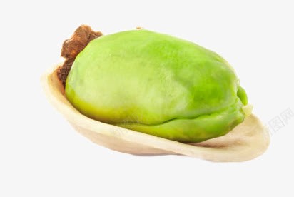 一颗美味坚果开心果png免抠素材_新图网 https://ixintu.com 一颗 坚果 开心果 美味