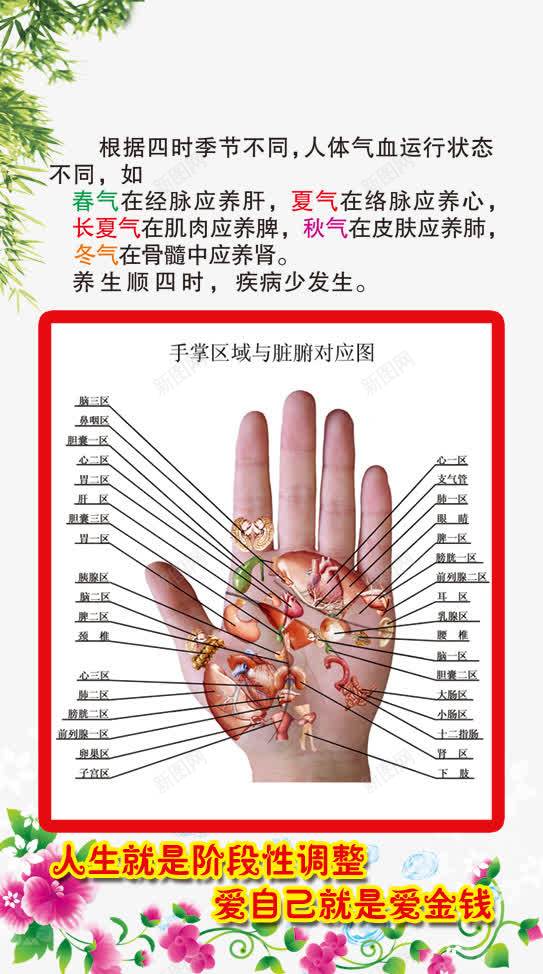 手部经络与脏腑对应图png免抠素材_新图网 https://ixintu.com 十二 手穴位 手部经络图 素材 经络图 背部