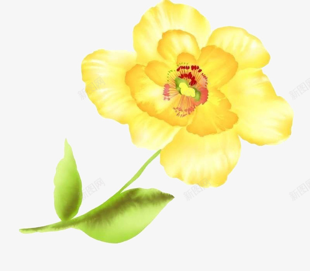 一朵小黄花png免抠素材_新图网 https://ixintu.com 一朵 绿叶 黄色 黄花