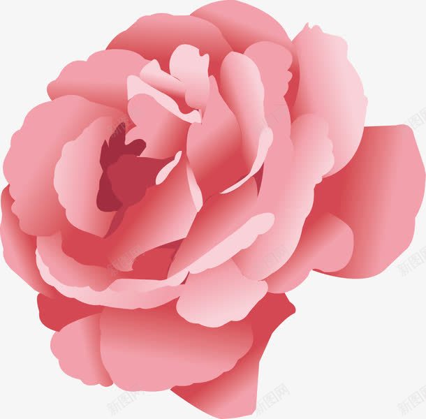 芙蓉花装饰png免抠素材_新图网 https://ixintu.com 芙蓉 芙蓉花 装饰 设计