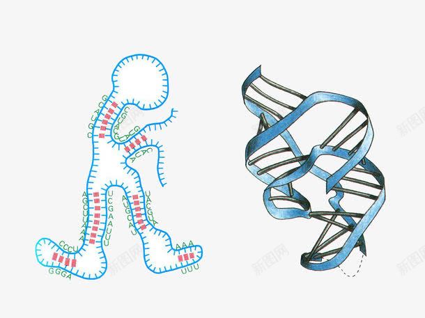 分子小人png免抠素材_新图网 https://ixintu.com DNA 元素 分子 化妆品 化学 原子 基因 实验 成分 水珠 科学