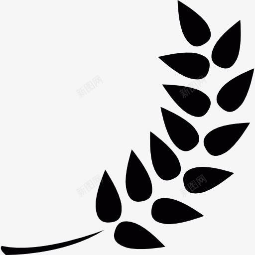 带叶子的树枝图标png_新图网 https://ixintu.com 分叶 大麦 小麦 食品