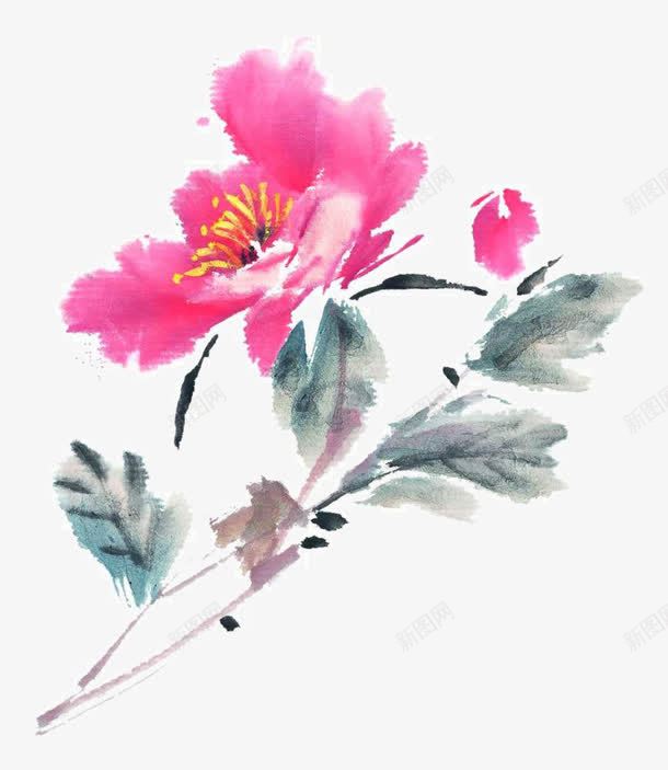 泼墨牡丹png免抠素材_新图网 https://ixintu.com 国画写生小品 国画花卉 宣纸花草 彩墨国画花草 手绘国画 手绘花草 装饰植物手绘