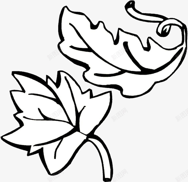 手绘的简笔画树叶图标png_新图网 https://ixintu.com 动漫动画 卡通手绘 叶子 树叶 简笔画 美术简笔画 艺术 落叶