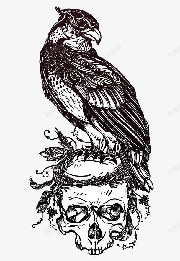 雄鹰骷髅插画png免抠素材_新图网 https://ixintu.com 手绘插画 雄鹰 骷髅 黑白线条