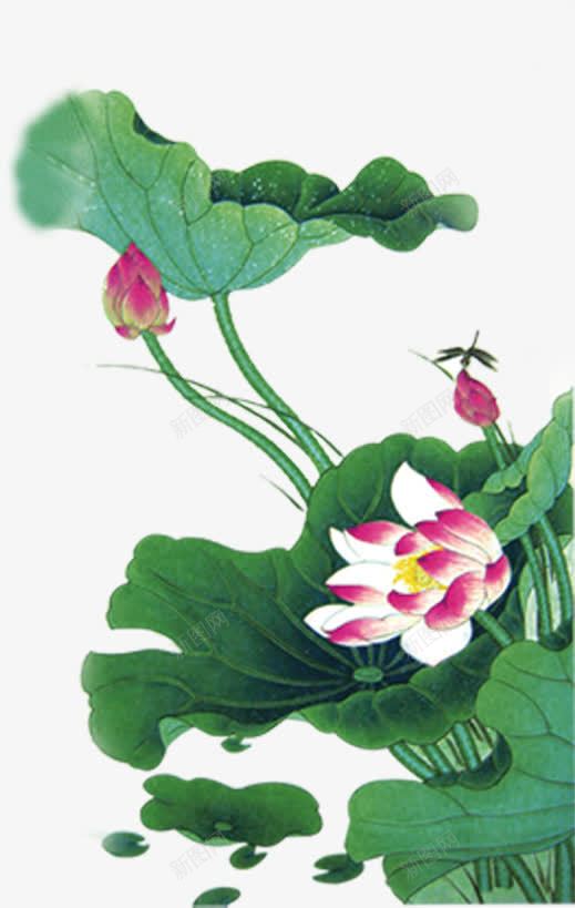 绿色淡雅荷叶池塘荷花png免抠素材_新图网 https://ixintu.com 池塘 淡雅 荷花荷叶满池塘 绿色 荷叶 荷花