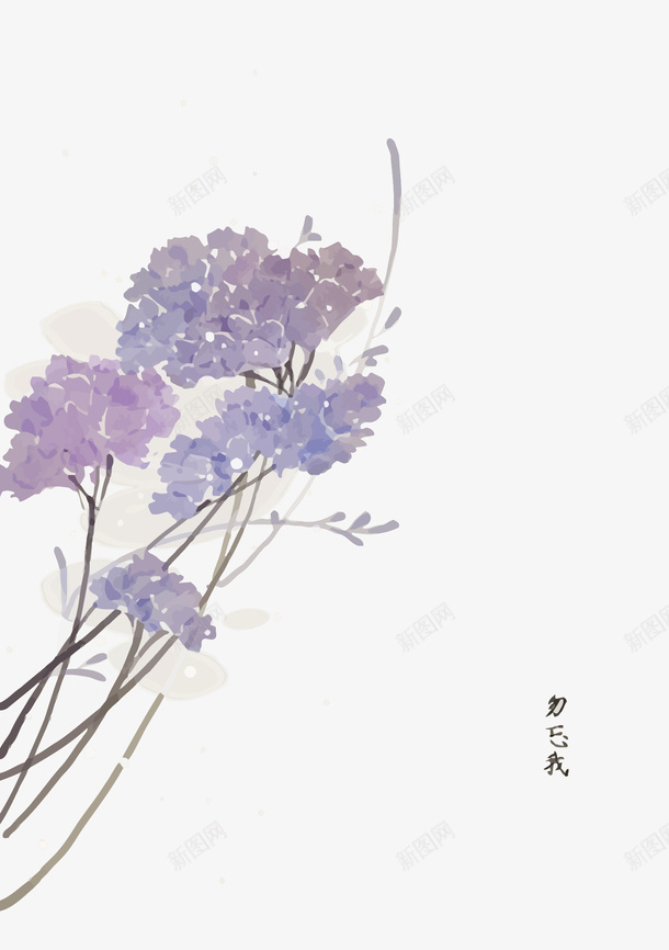 勿忘我矢量图eps免抠素材_新图网 https://ixintu.com PNG图片 PNG图片素材 PNG素材 PNG素材免费下载 勿忘我 星辰花 矢量图 紫色 花卉