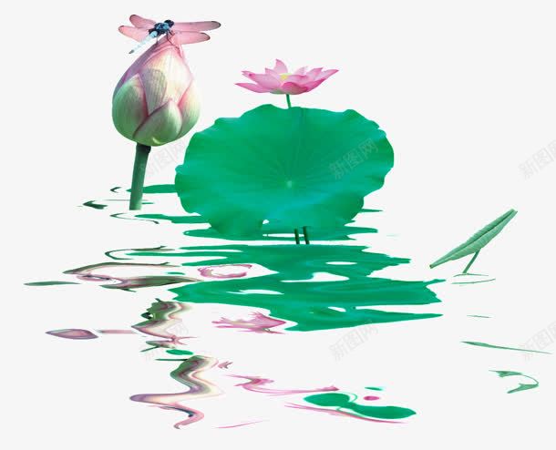 水面粉色荷花png免抠素材_新图网 https://ixintu.com 插画水面 水面 粉色 荷花