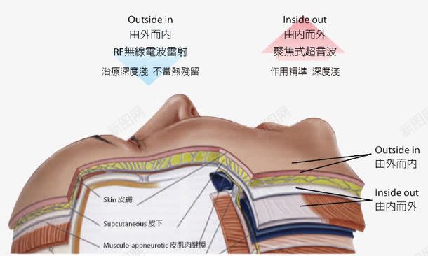 肌肤组织结构图png免抠素材_新图网 https://ixintu.com 人体结构 医疗 肌肤组织 脸部皮肤问题