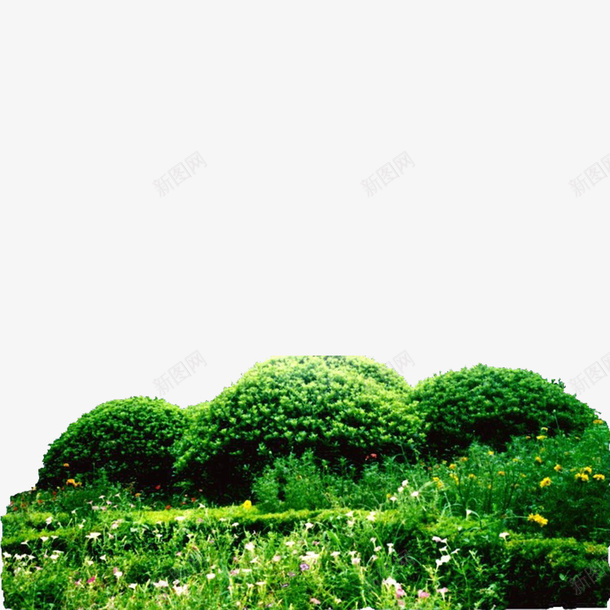 园艺灌木png免抠素材_新图网 https://ixintu.com 修剪 净化环境 平面 平面灌木 景观树木丛 灌木园艺 绿化带 美化环境