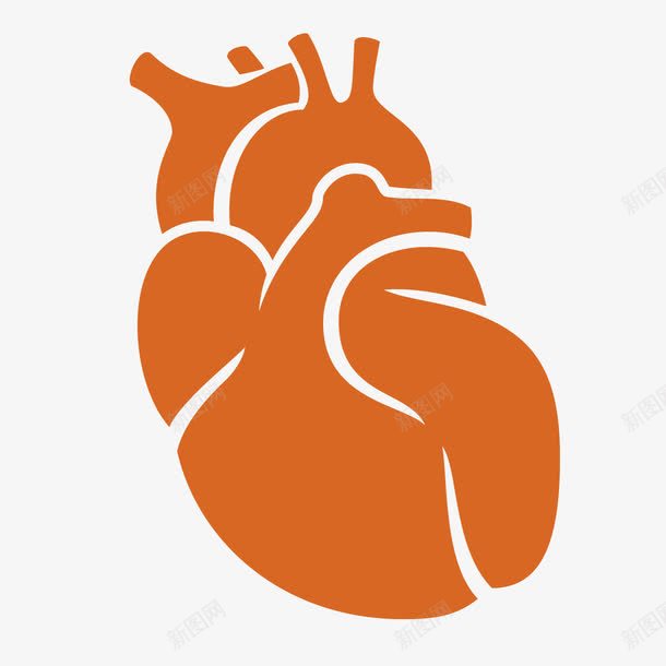 人体内脏图标png_新图网 https://ixintu.com 人体内脏 人体内脏矢量图设计 图标 彩绘 心脏 手绘 插画