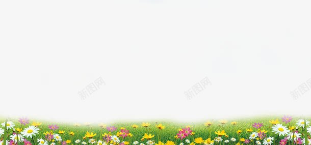 手绘花海png免抠素材_新图网 https://ixintu.com 花海 花海素材 草坪 野花 雏菊
