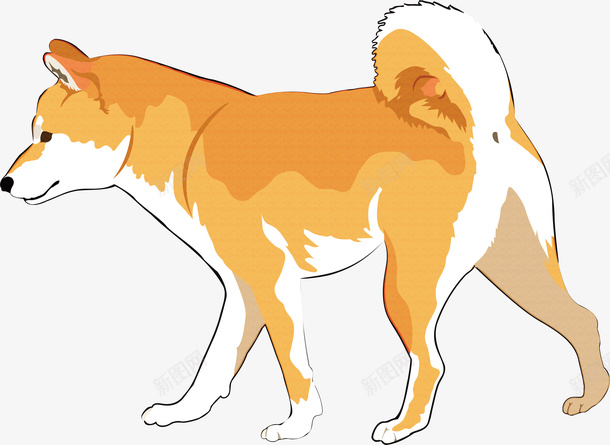 可爱日本柴犬矢量图ai免抠素材_新图网 https://ixintu.com 动物 可爱 日本柴犬 柴犬 柴犬设计 狗狗 矢量图