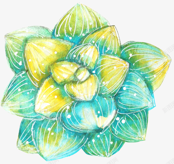手绘玉露多肉盆栽png免抠素材_新图网 https://ixintu.com 多肉 手绘 手绘插画 玉露 玉露多肉 盆栽 盆栽植物