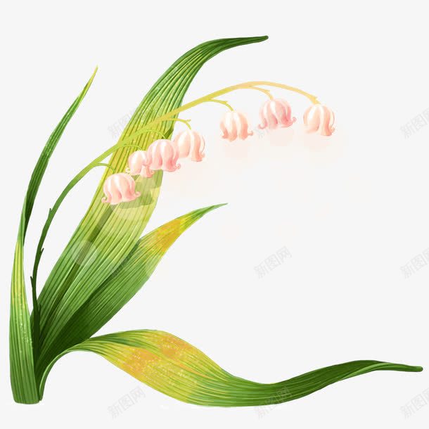 水仙花png免抠素材_新图网 https://ixintu.com 七星瓢虫 三角梅 水仙花 牡丹 玫瑰 草地 菊花 蝴蝶兰 雏菊