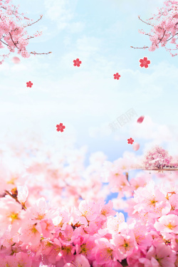 樱花节展架中国风唯美杜鹃花春季旅游海报高清图片