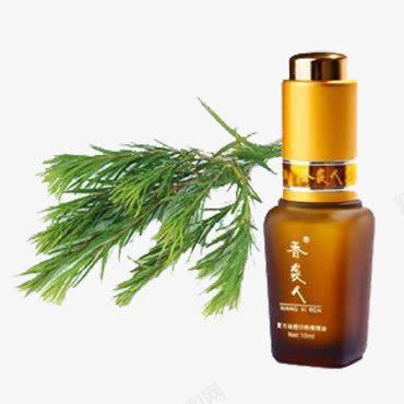 香袭人茶树精油png免抠素材_新图网 https://ixintu.com 产品实物 单方 护肤 植物 芳疗 香袭人