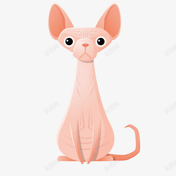 粉色可爱无毛猫手绘png免抠素材_新图网 https://ixintu.com 动物 卡通 可爱 呆萌 无毛猫 猫咪 粉红色