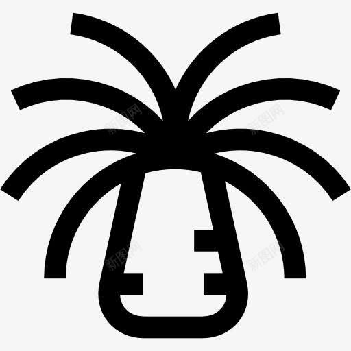 海葵图标png_新图网 https://ixintu.com 水 水族馆 海洋生物 海葵 海葵图片 自然