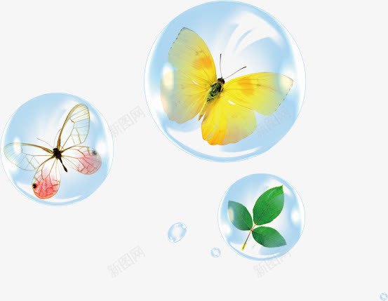 气泡中的蝴蝶png免抠素材_新图网 https://ixintu.com 叶子 气泡 水球 泡泡 球 蝴蝶 透明