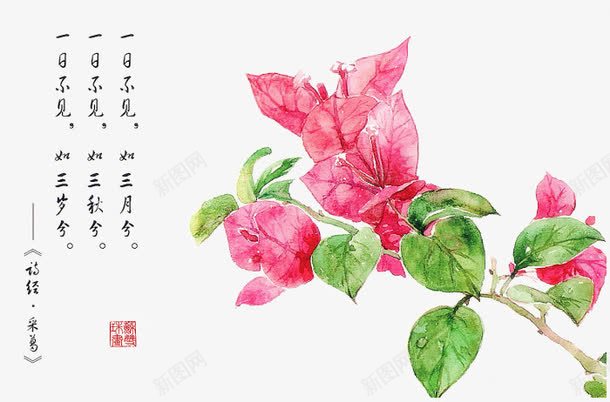 诗经花朵插画配图png免抠素材_新图网 https://ixintu.com 卡通 卡通插画 古风 唯美 手绘 花卉 诗歌 诗经 诗词