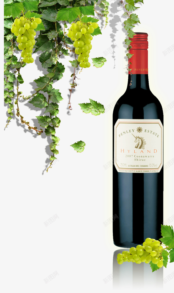 葡萄藤法国红酒干红png免抠素材_新图网 https://ixintu.com 干红 法国高档红酒 红酒 红酒品鉴 葡萄 葡萄藤 酒瓶