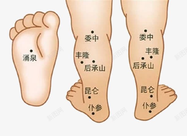 小儿腿部穴位png免抠素材_新图网 https://ixintu.com 小儿 小儿推拿 推拿 穴位 腿部