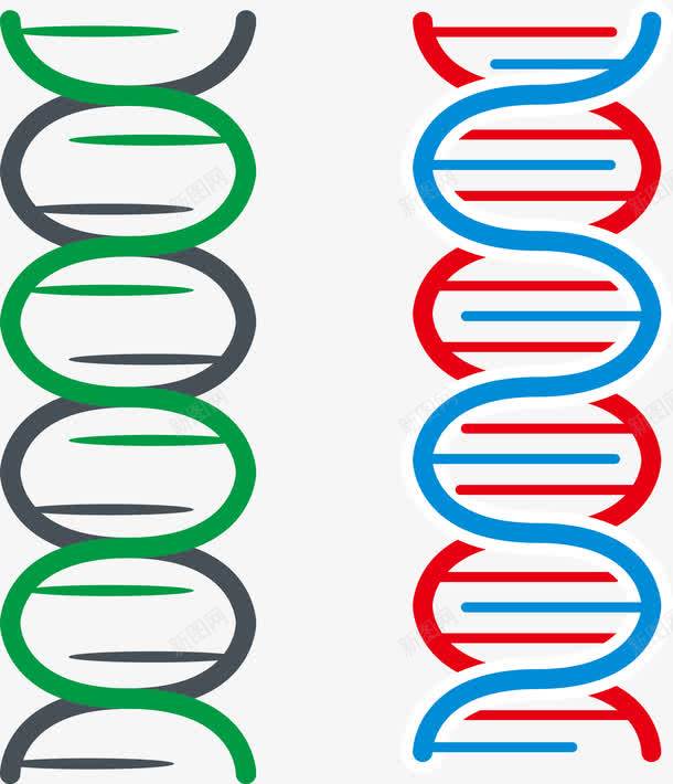 简约基因链png免抠素材_新图网 https://ixintu.com DNA双螺旋 人类 可爱 彩色 研究 简约