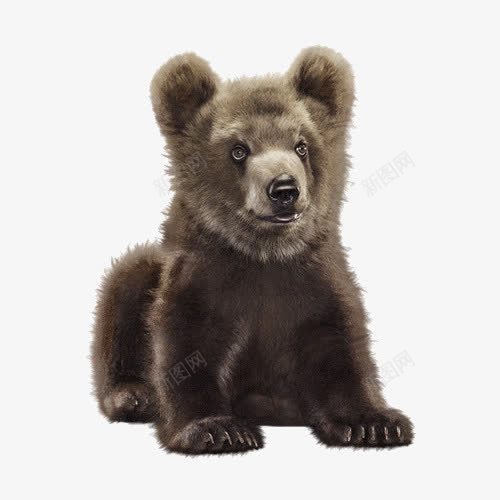 动物小棕熊png免抠素材_新图网 https://ixintu.com 傻傻呆呆的熊 动物 卡通画熊免扣 可爱的熊 呆呆的表情 小棕熊 小狗熊 手绘棕色熊头像 抓气球的熊 棕色 棕色熊 灰熊 熊 行走的熊 装饰图案 装饰熊PNG