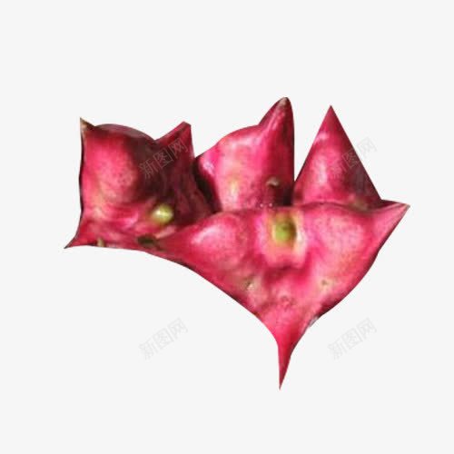 三个红菱角png免抠素材_新图网 https://ixintu.com 三个 果实 水生草本 红 红色红菱 红菱 菱角
