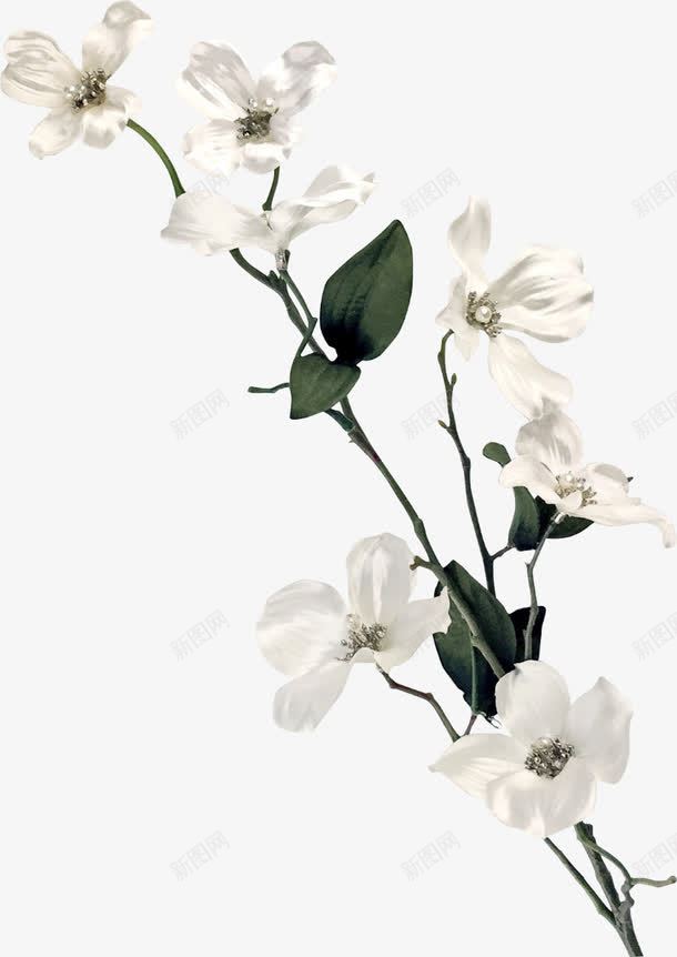 白色礼花png免抠素材_新图网 https://ixintu.com 一枝花 七叶 婚庆装饰 小花 彩炮 浅紫色小花 生日礼花