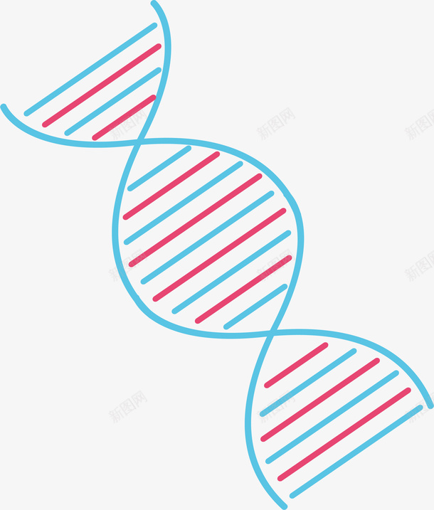 染色体元素矢量图ai免抠素材_新图网 https://ixintu.com png 元素 卡通 染色体 生物医药 诊疗 矢量图