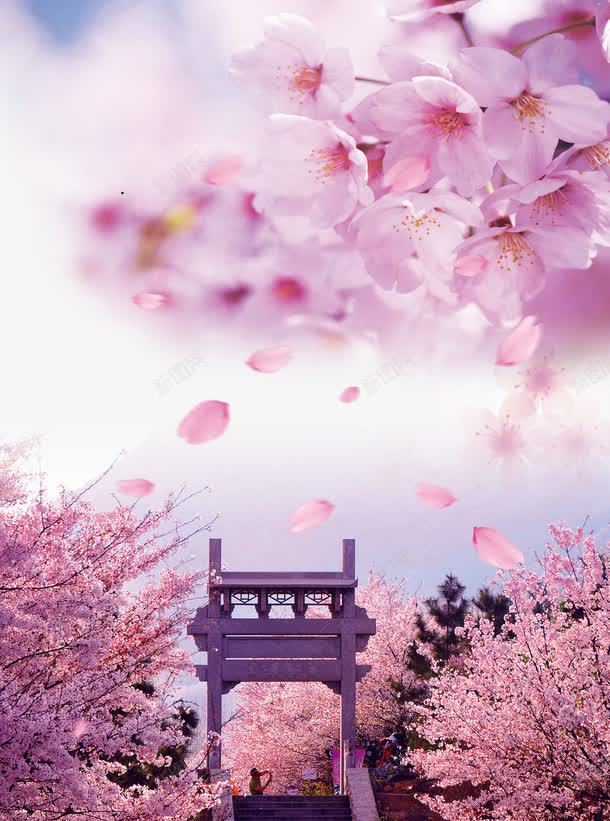 樱花谷海报png免抠素材_新图网 https://ixintu.com 日本 樱花 海报 节日