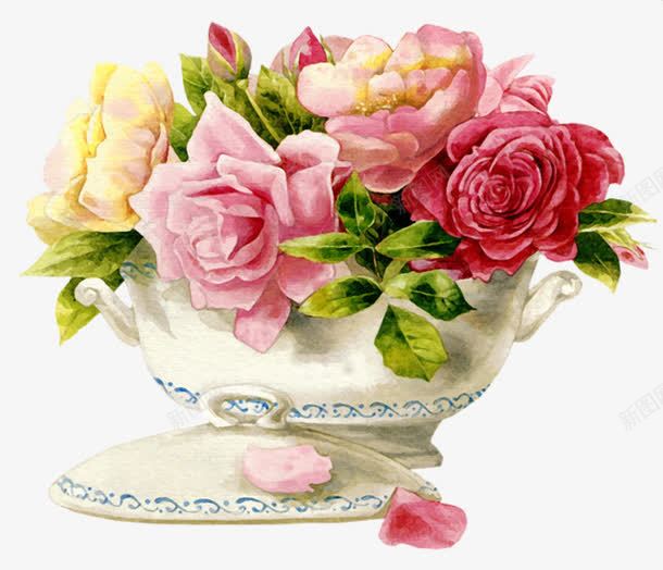 古典装饰鲜花png免抠素材_新图网 https://ixintu.com 一盆花 手绘花 装饰画 鲜花
