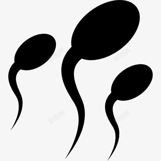 精子图标png_新图网 https://ixintu.com 人组 男性人体 精子 繁殖 身体部位 部分