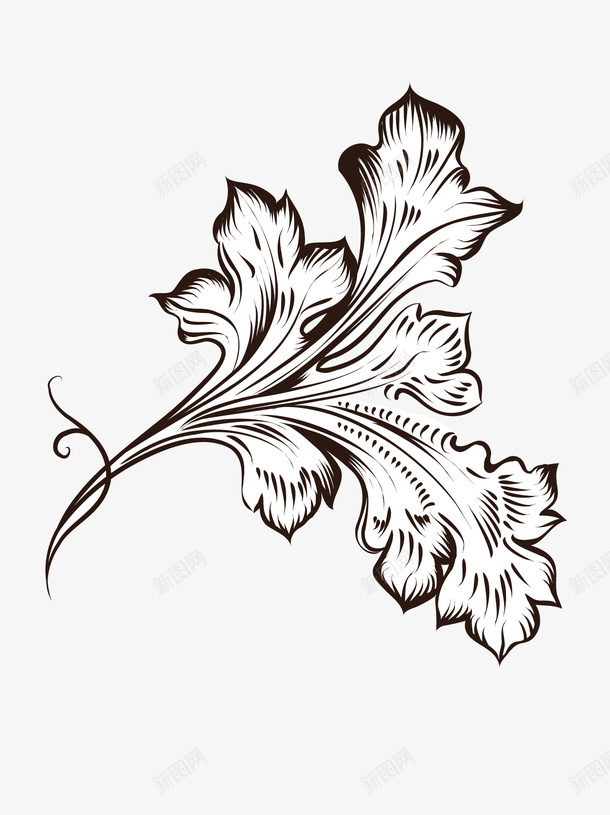 中世纪花纹png免抠素材_新图网 https://ixintu.com 古典 花纹 边框